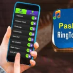 Pashto Ringtones - Top 20 Best Ringtones For Mobile Phone