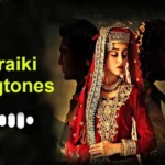 Saraiki Ringtones - Top 10 Best Ringtones For Andriod