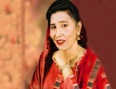 Ameera Begum - Top 20 Best Sindhi Sehra Music