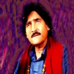 Seengar Ali Saleem - Top 12 Best Sindhi Classical Music