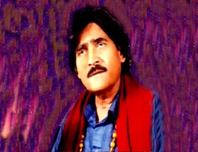 Seengar Ali Saleem - Top 12 Best Sindhi Classical Music