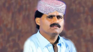 Dilber Jalal Chandio - Top 15 Best Sindhi Folk Music