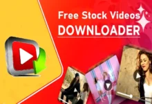 Royalty Free Video Downloader