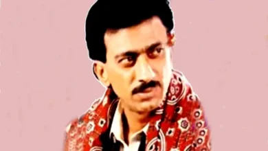 Ghulam Ali Sandilo - Bio, Top 22 Best Sindhi Folk Music