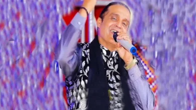 Tufail Sanjrani - Top 30 Best Sindhi Folk Music