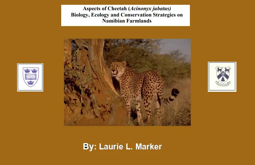 Aspects of Cheetah Biology Ecology