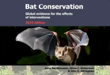 Bat Conservation Synopsis 2019 Edition