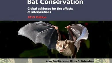 Bat Conservation Synopsis 2019 Edition