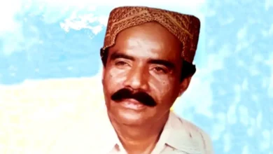 Misri Faqeer - Bio, Top 16 Best Sindhi Classical Music