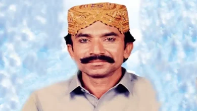 Photo Zardari - Bio, Top 15 Best Sindhi Folk Music