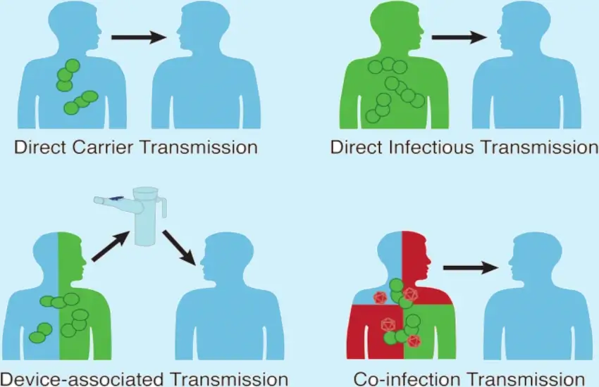 Is Pneumonia Contagious? Key Facts About How It Spreads