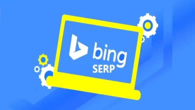 Bing SERP Checker Tool