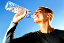 How Much Water Should You Drink Daily? Hydration Guidelines