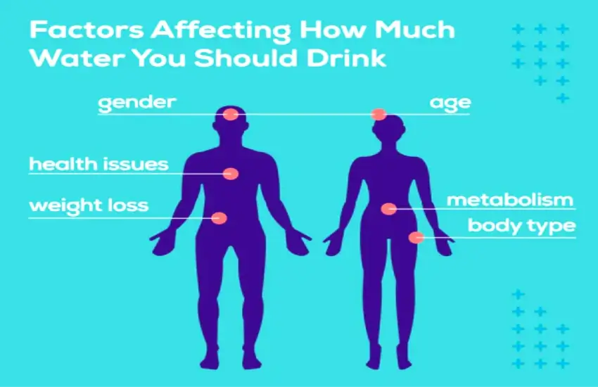 How Much Water Should You Drink Daily? Hydration Guidelines