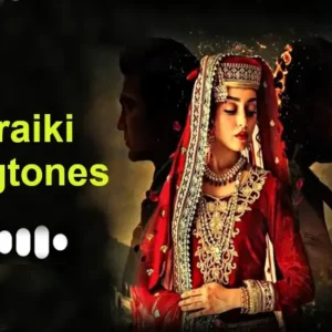 Best Saraiki Ringtones - Top 10 Best Ringtones Collection